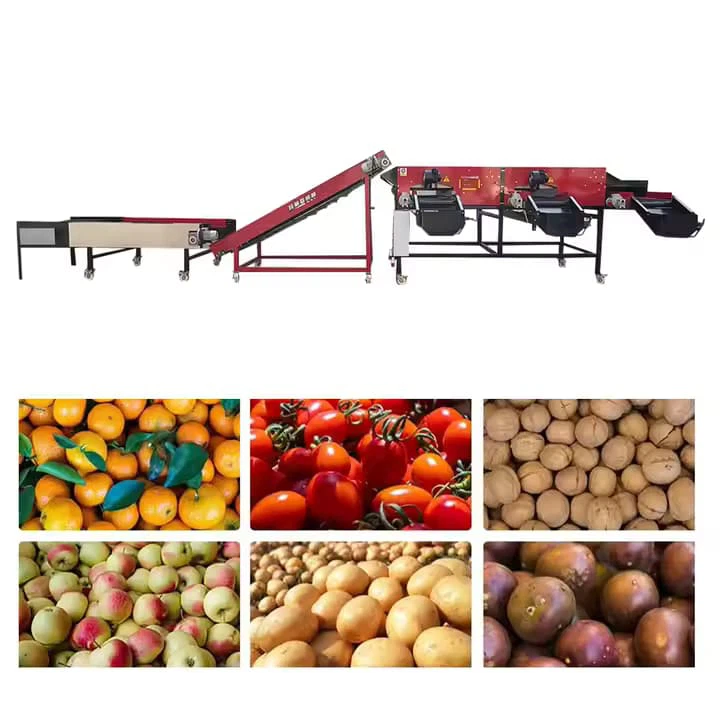 Factory theko jarolla ka ho iketsa litholoana meroho hlophisa apole tamati tamati lamunu onion maemo a ho lekanya mochine